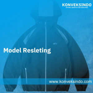 Model Resleting